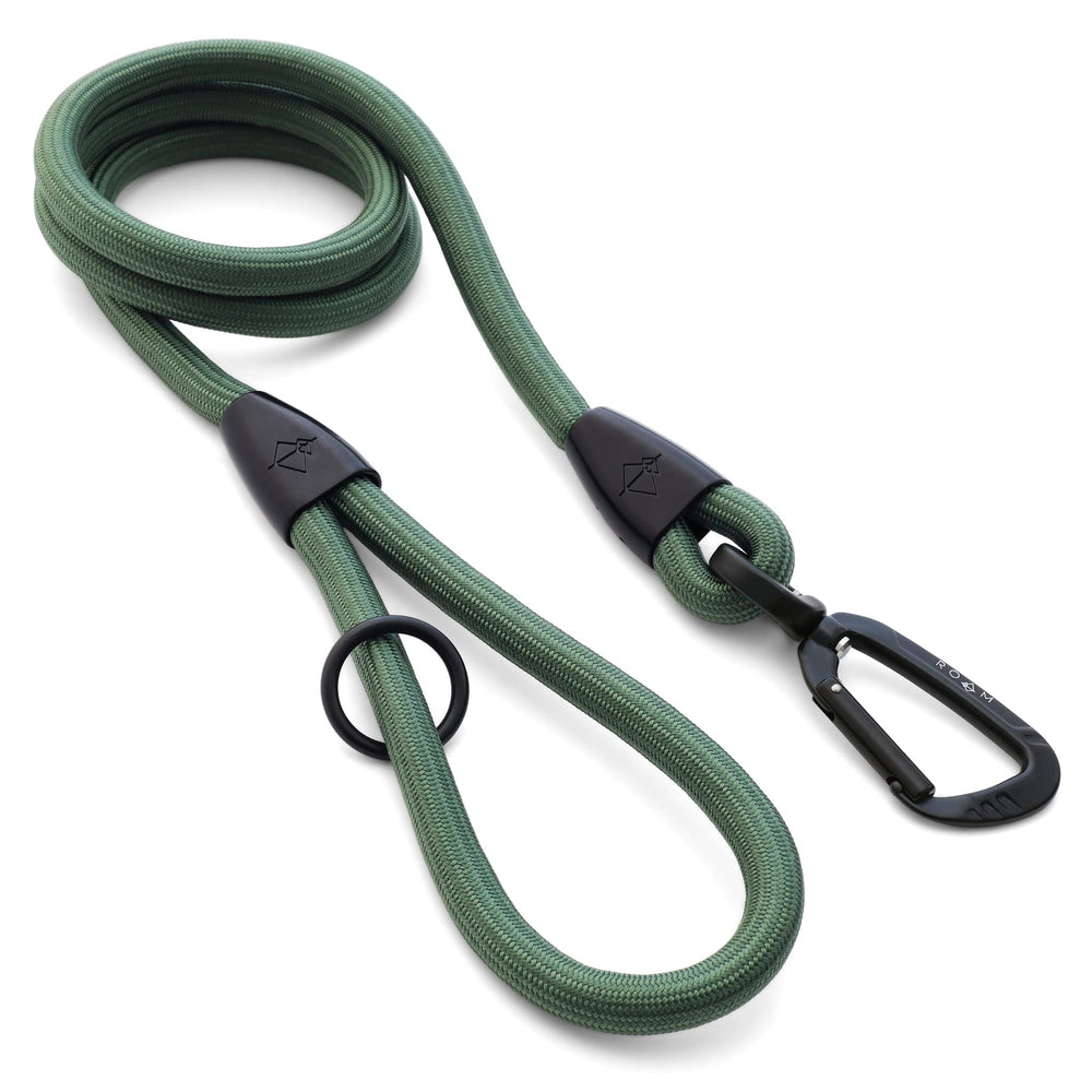 MADE TO ROAM Premium Everyday Leash carabiner closeup showing quick one-handed clipping