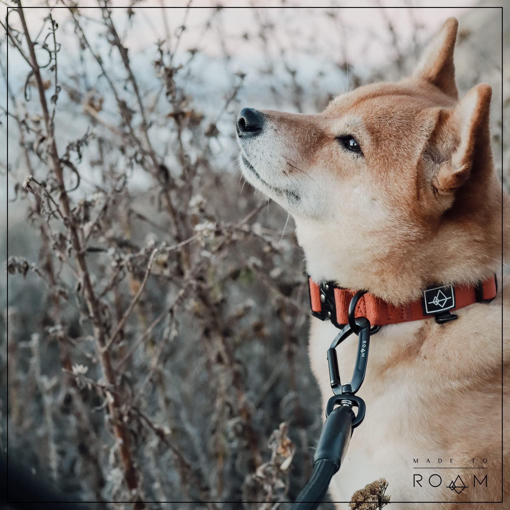 MADE TO ROAM Premium Everyday Leash rubber-coated clamp detail protects and improves grip.