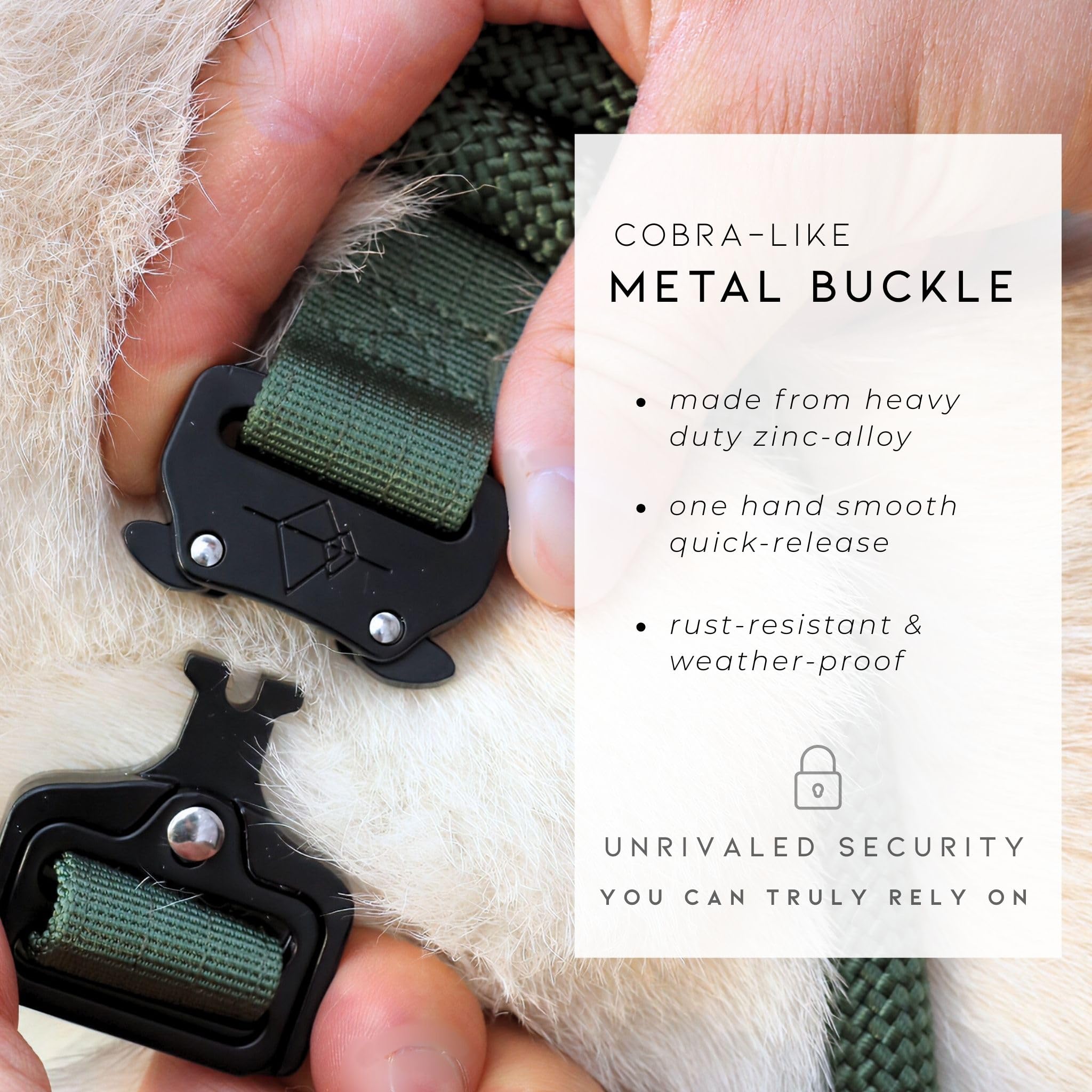 made-to-roam premium explorer collar nylon-webbing close-up emphasizes double-layer durability.