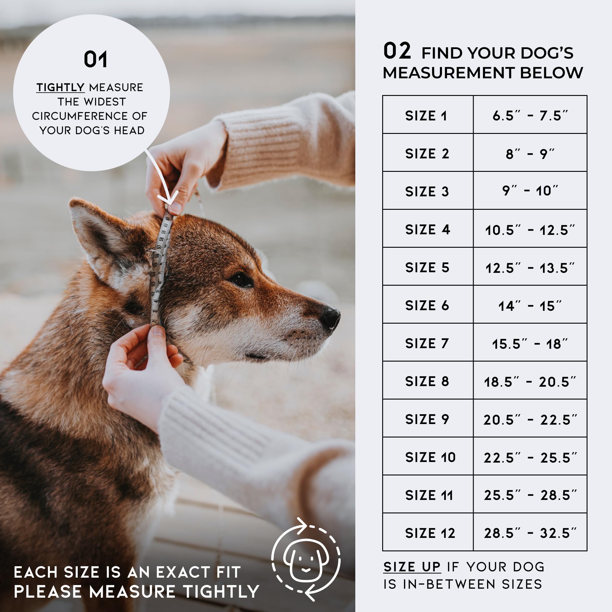 Made To Roam 12-sizes range close-up illustrates fit for all dogs