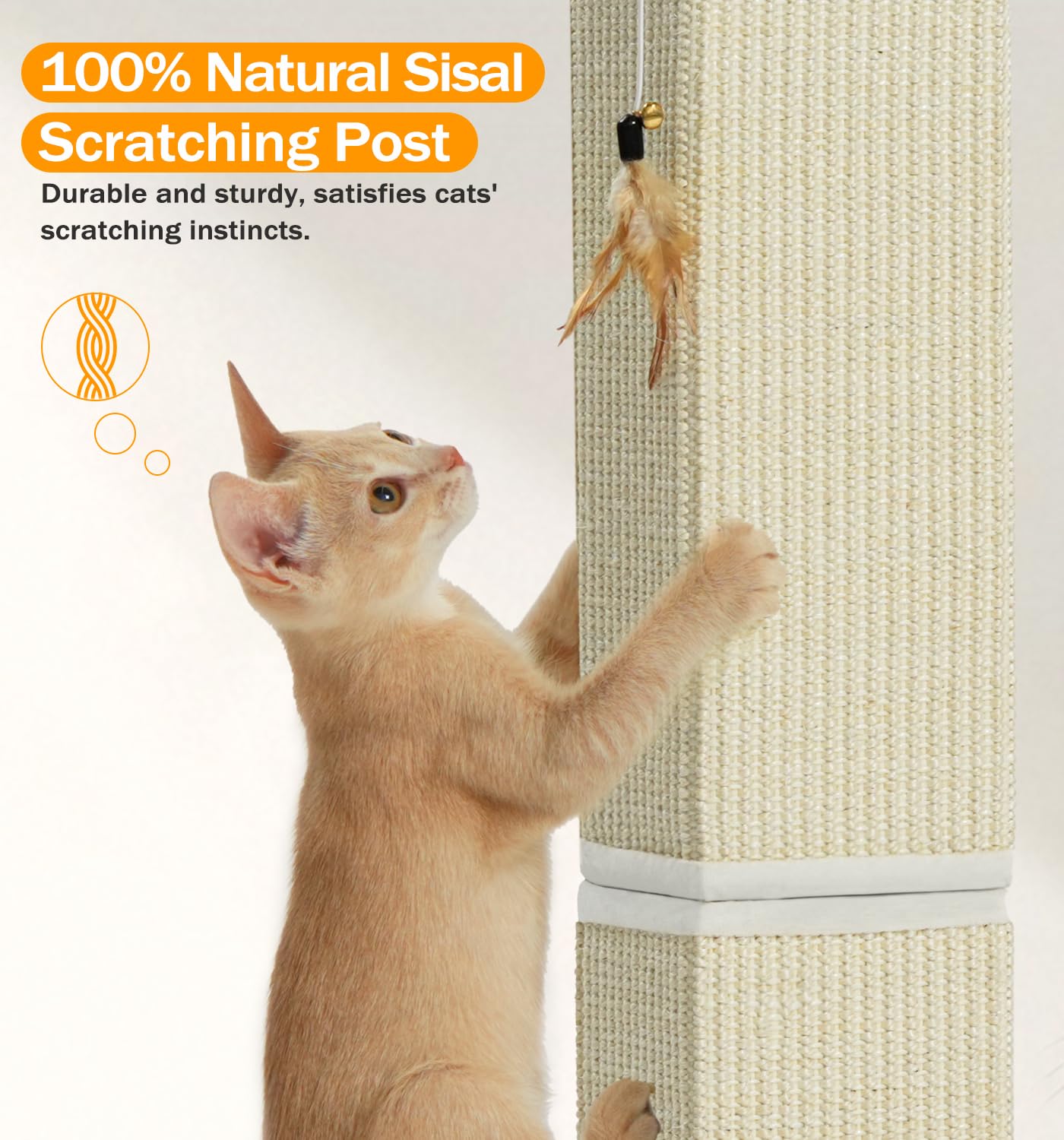 Made4Pets easy assembly allows quick setup for immediate scratching