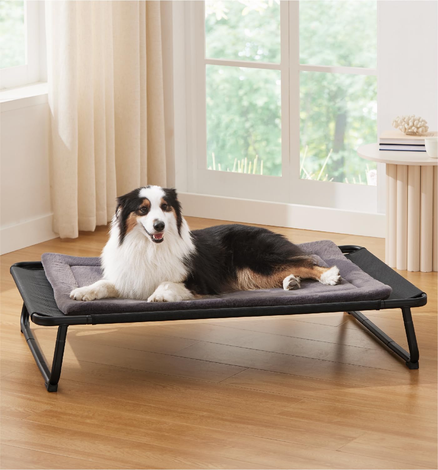 MADE 4 PETS 42x28-elevated-dog-bed on a shaded porch looks comfortably elevated