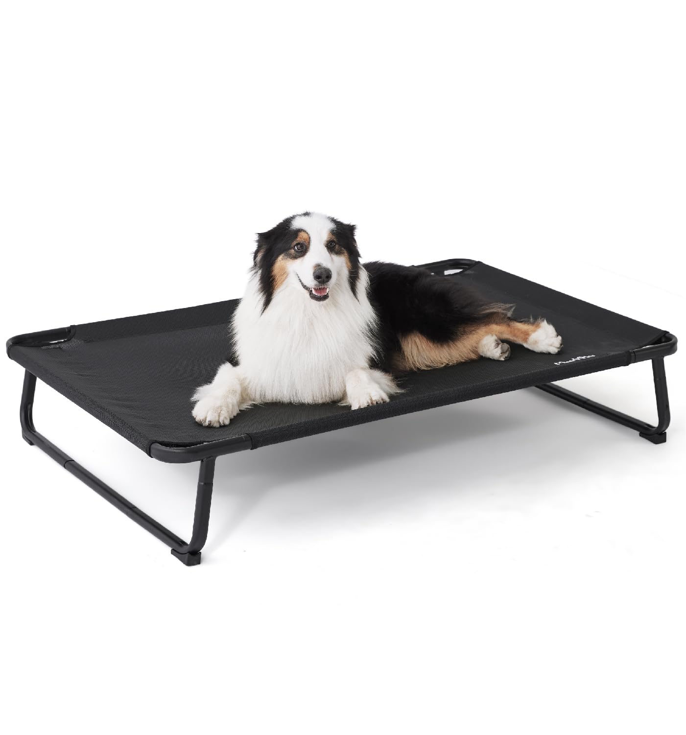 MADE 4 PETS outdoor elevated dog bed setup demonstrates quick tool-free assembly for fast use
