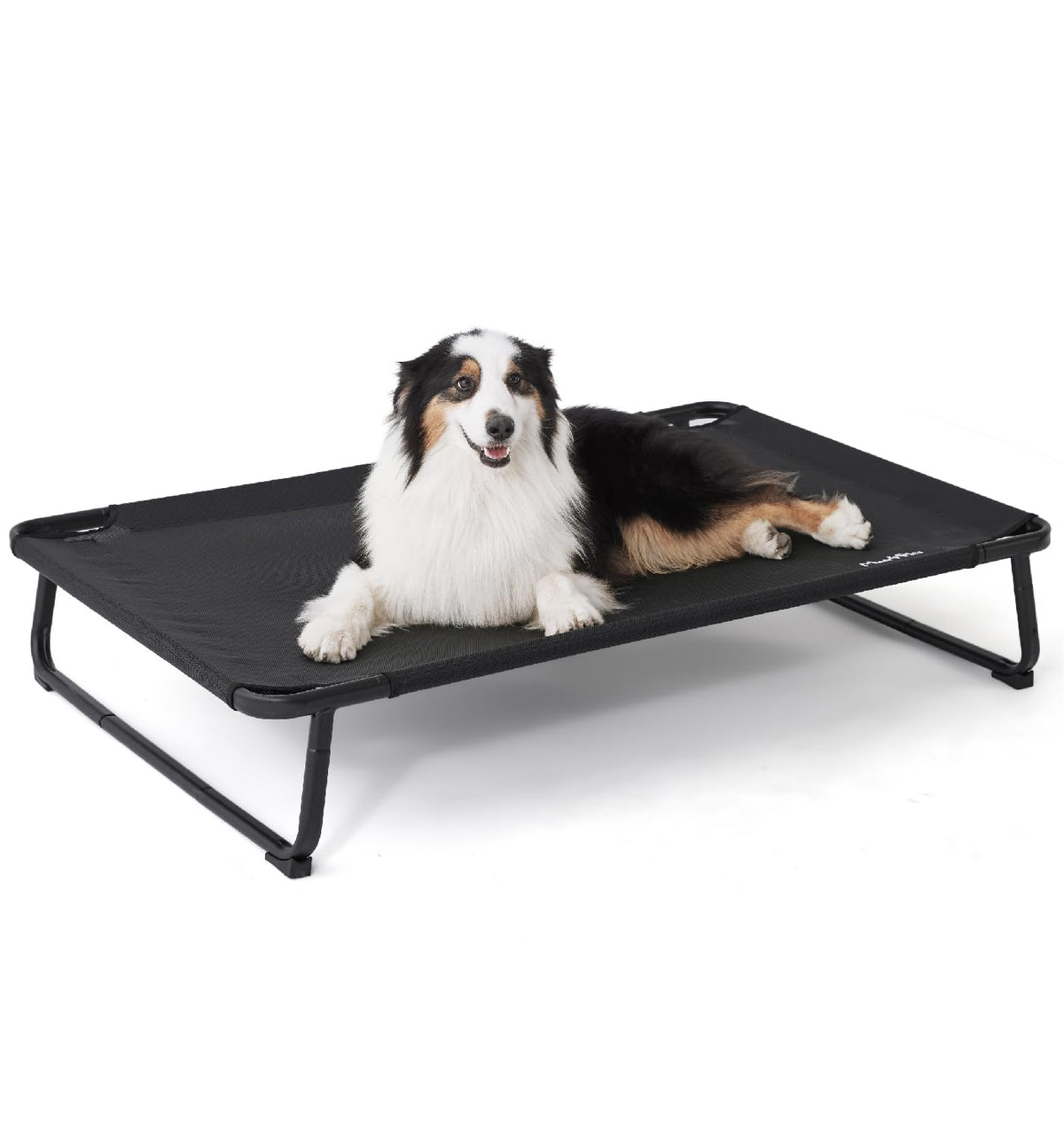 MADE 4 PETS outdoor elevated dog bed setup demonstrates quick tool-free assembly for fast use