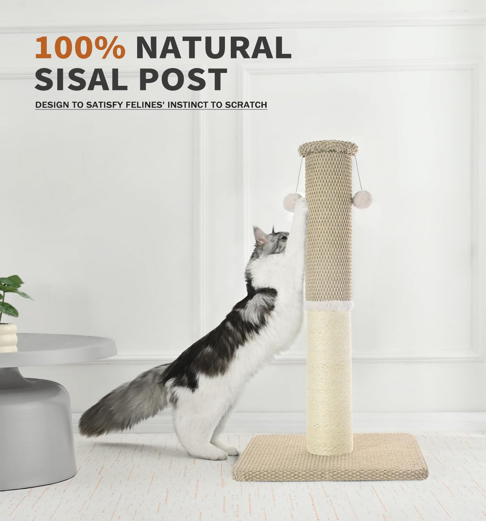 Made4Pets 33-inch cat post supports indoor cats' vertical exercise.