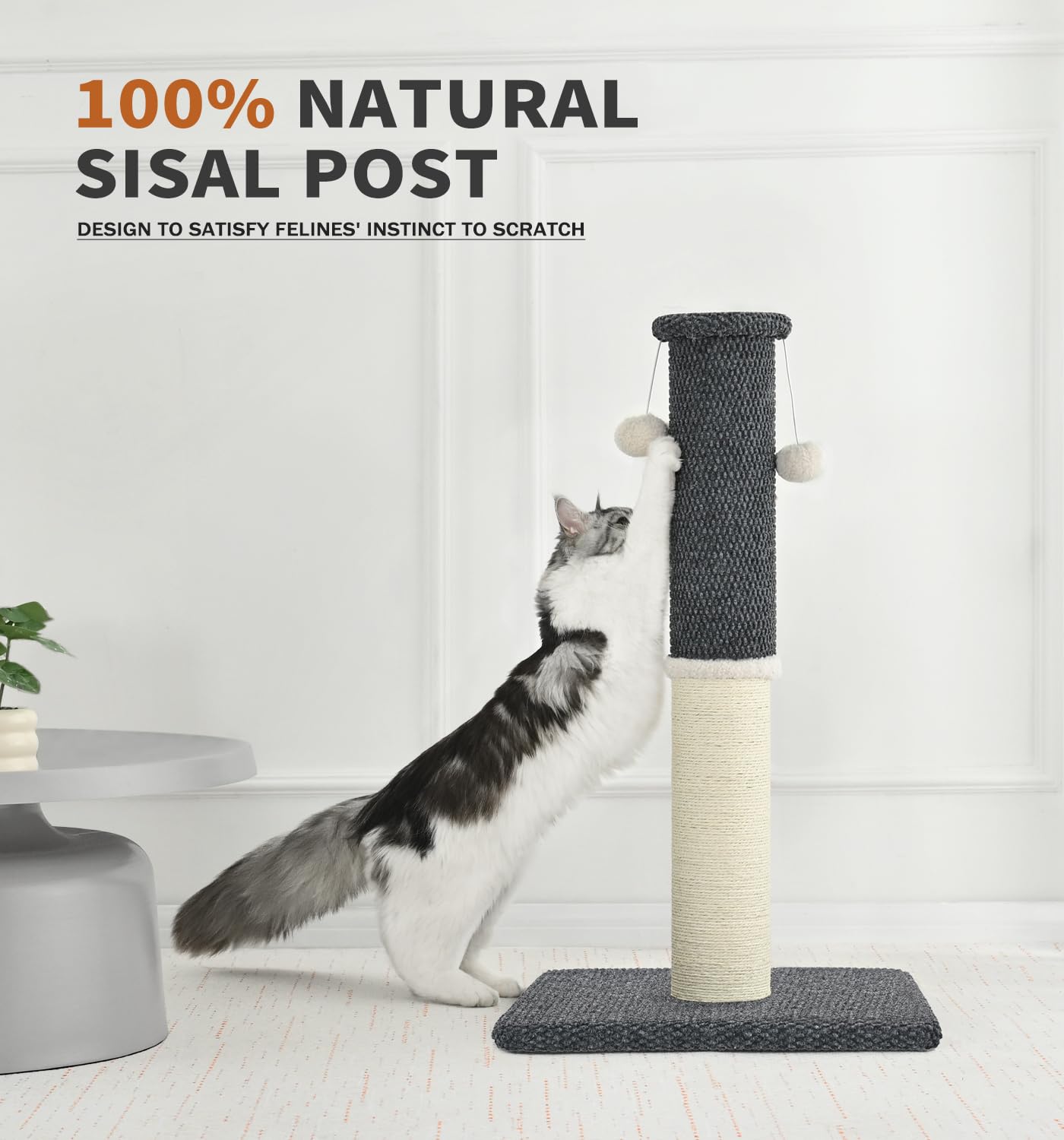MADE 4 PETS tall cat scratching post durable materials withstand daily scratching sessions.