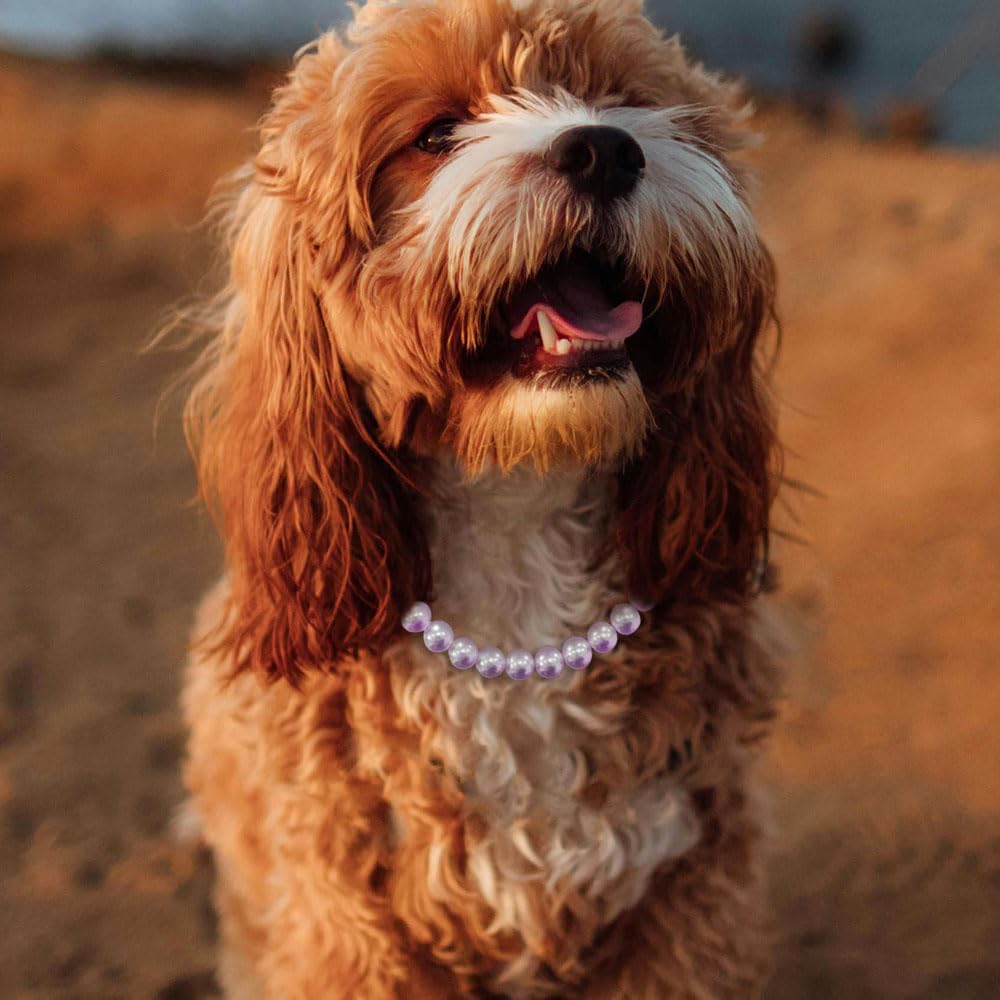 Madison Tyler Dog Pearl Necklace closeup pearl highlights subtle shine for events.