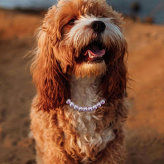 Madison Tyler Dog Pearl Necklace closeup pearl highlights subtle shine for events.