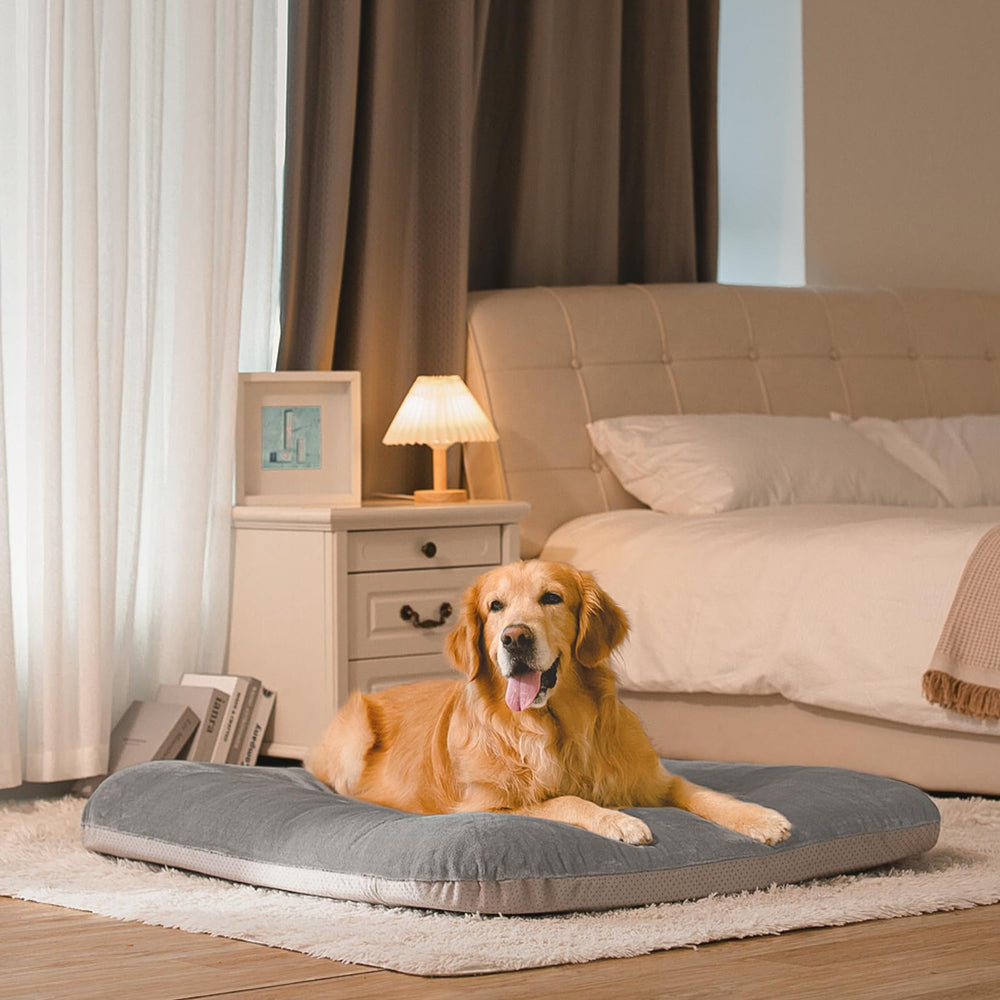 Magic Dog XL dog bed assembly illustrating quick setup.