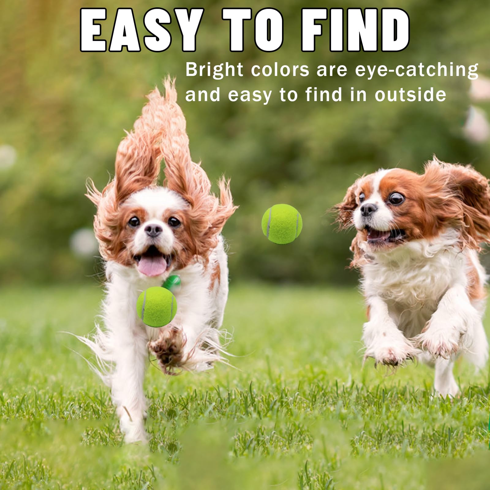 Magicorange 2-inch diameter ball is ideal for small to medium dogs.