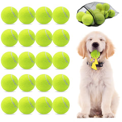 Magicorange 20-pack dog tennis balls with squeaker for interactive play.