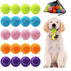 Magicorange 20-pack dog tennis balls with mesh bag for easy transport and cleanup.