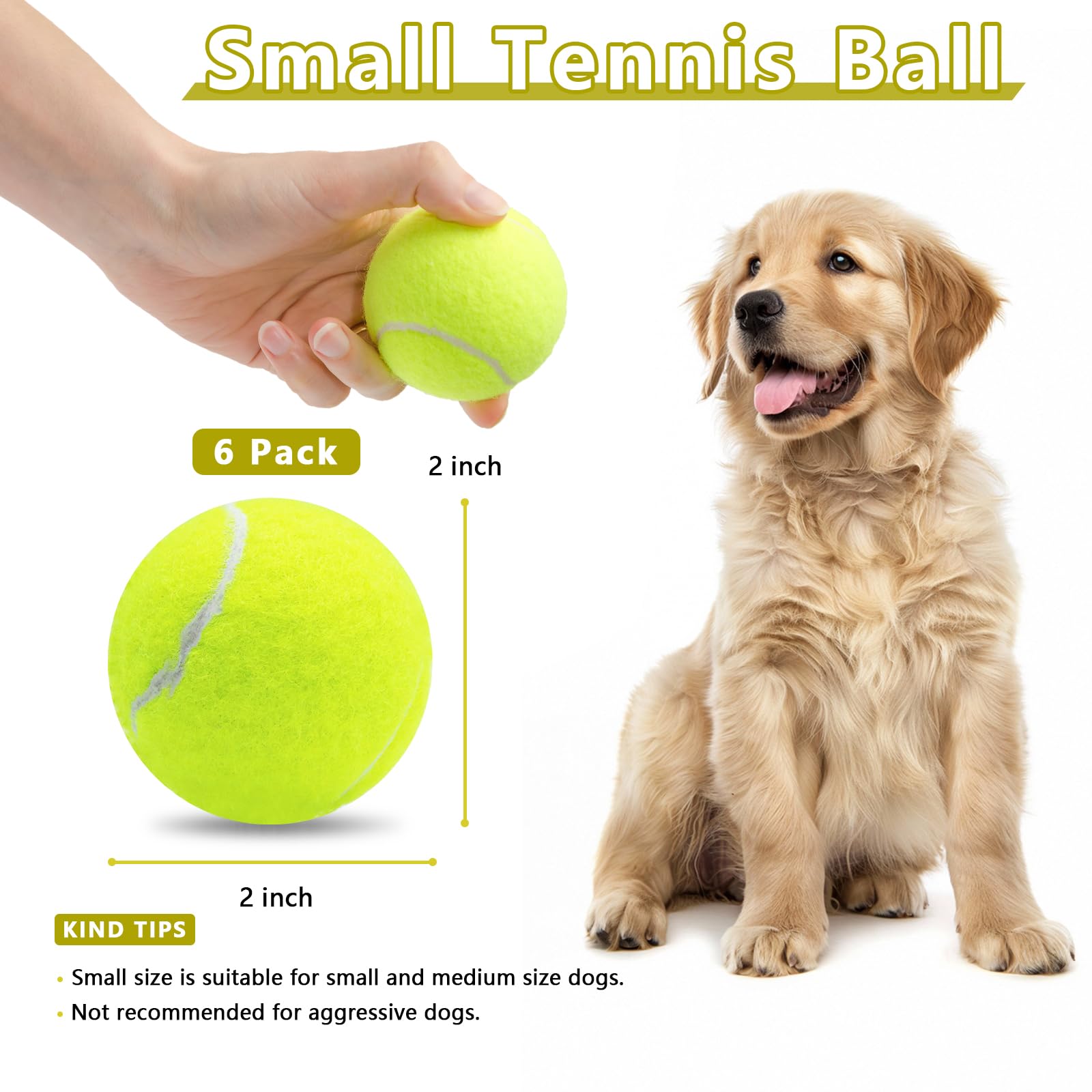 Magicorange squeaky ball close-up showing built-in squeaker for engaging dog play.
