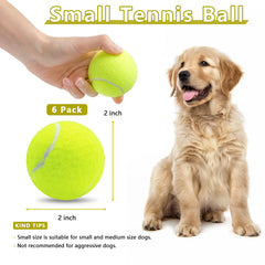 Magicorange squeaky ball close-up showing built-in squeaker for engaging dog play.