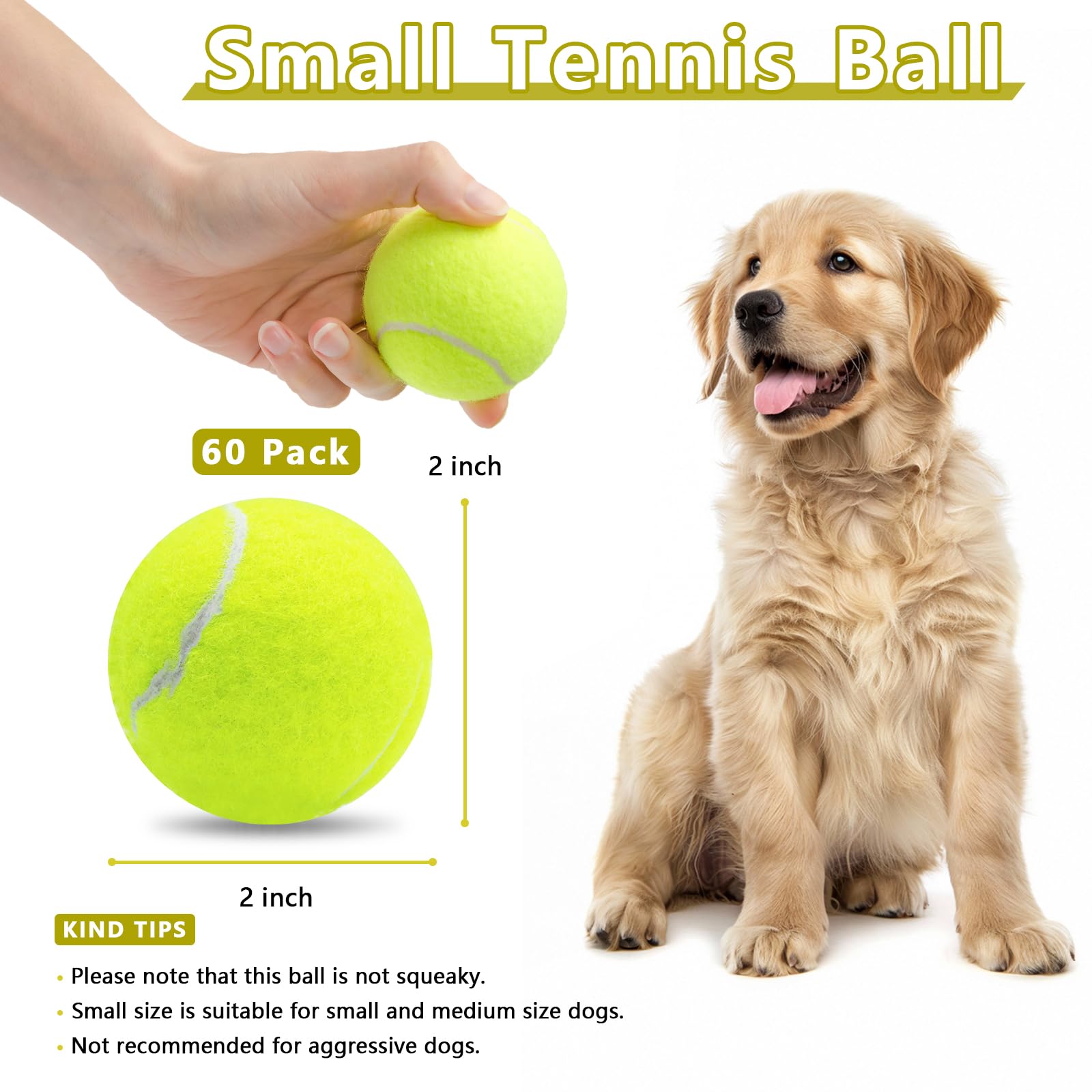 Magicorange dog catching tennis ball midair during training