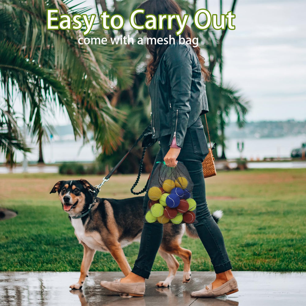 Magicorange dog tennis ball bright colors attract pets during training sessions.