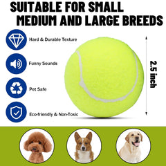 Magicorange dog tennis ball squeaker in action for interactive fetch.
