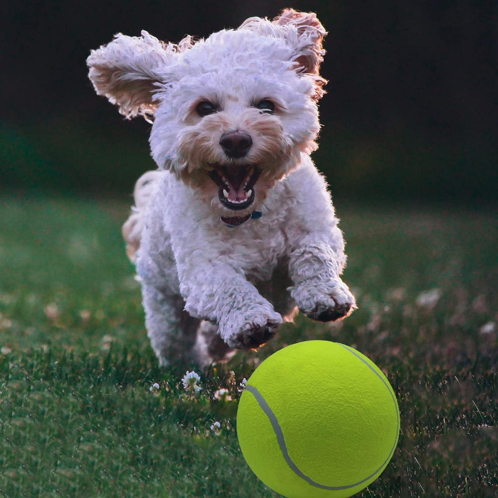 Magicorange giant tennis ball ideal for outdoor or indoor play with dogs
