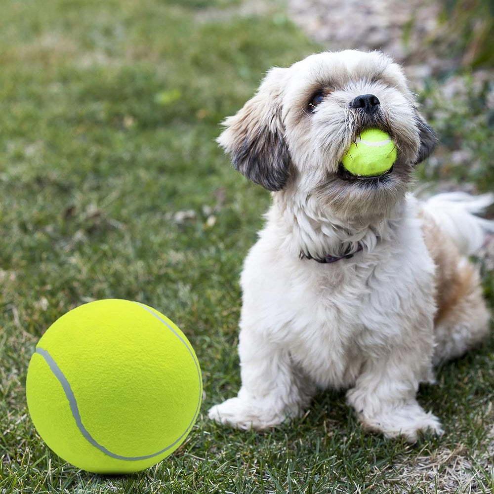 Magicorange giant tennis ball pump included for quick setup