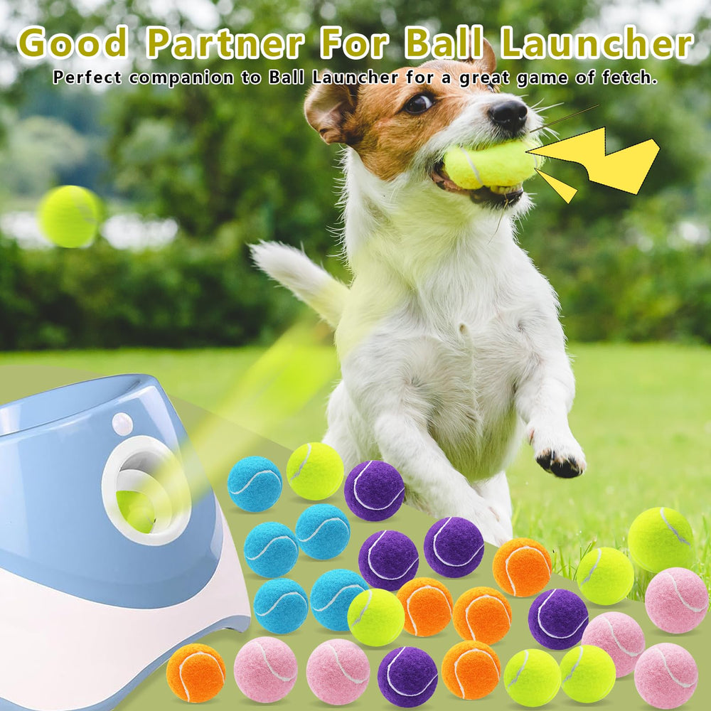 Magicorange indoor/outdoor dog play tennis ball for versatile sessions.