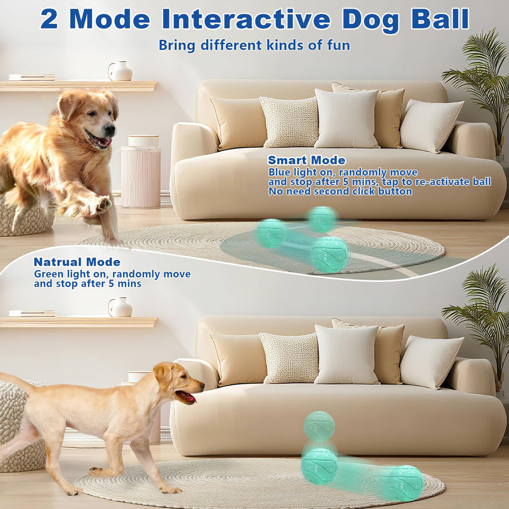 Magicorange interactive dog ball touch activation captures sensor-driven play during self-play sessions