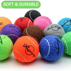 Magicorange interactive toy enhances activity during outdoor and indoor fetch.