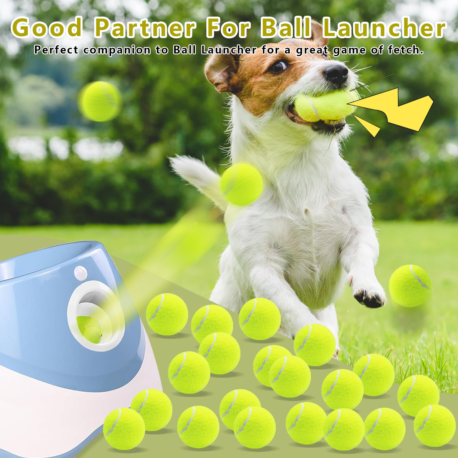 Magicorange interactive dog toy set encourages activity during indoor and outdoor play.