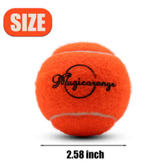 Magicorange mesh bag for easy transport of balls.