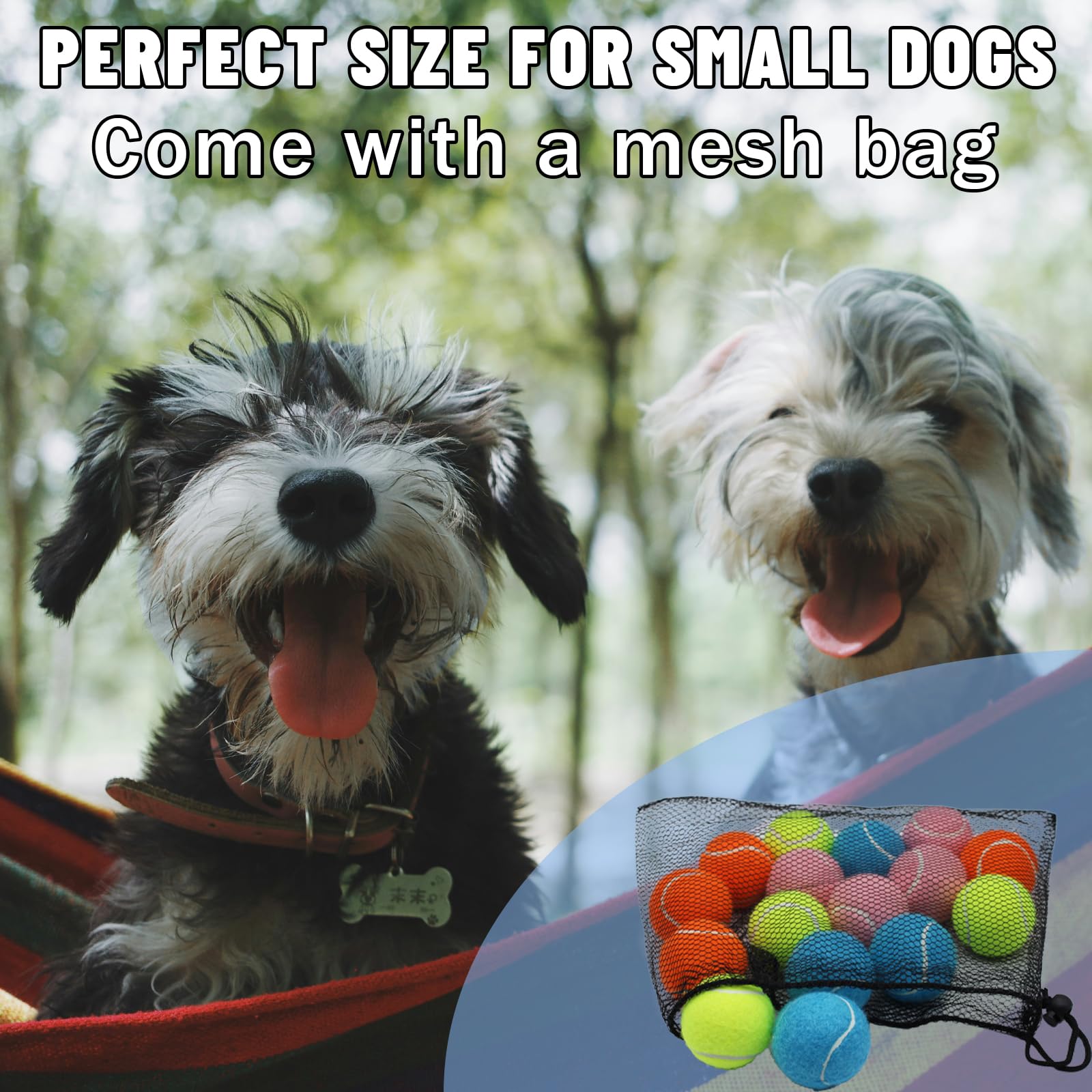 Magicorange outdoor yard play scene highlights colorful fast-paced fetch.
