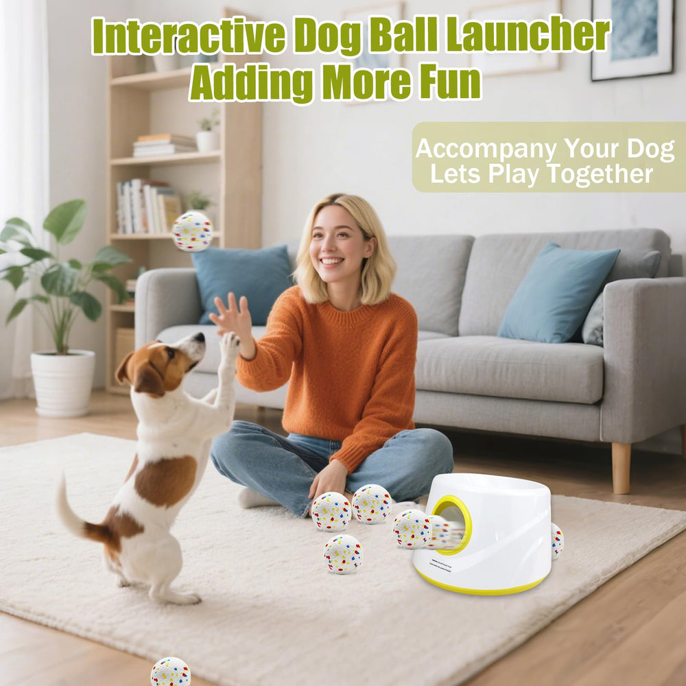 Magicorange playtime with small dog setup emphasizes safe, engaging enrichment.