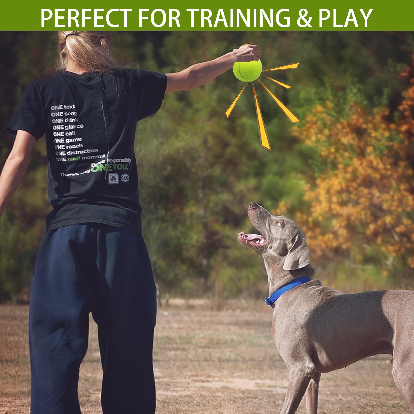 Magicorange squeaky tennis ball dog toy - promotes bonding during outdoor fetch and training