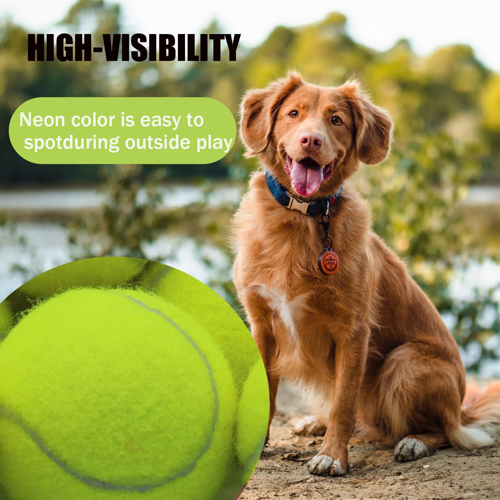 Magicorange squeaky tennis ball dog toy - built-in squeaker attracts attention for interactive games