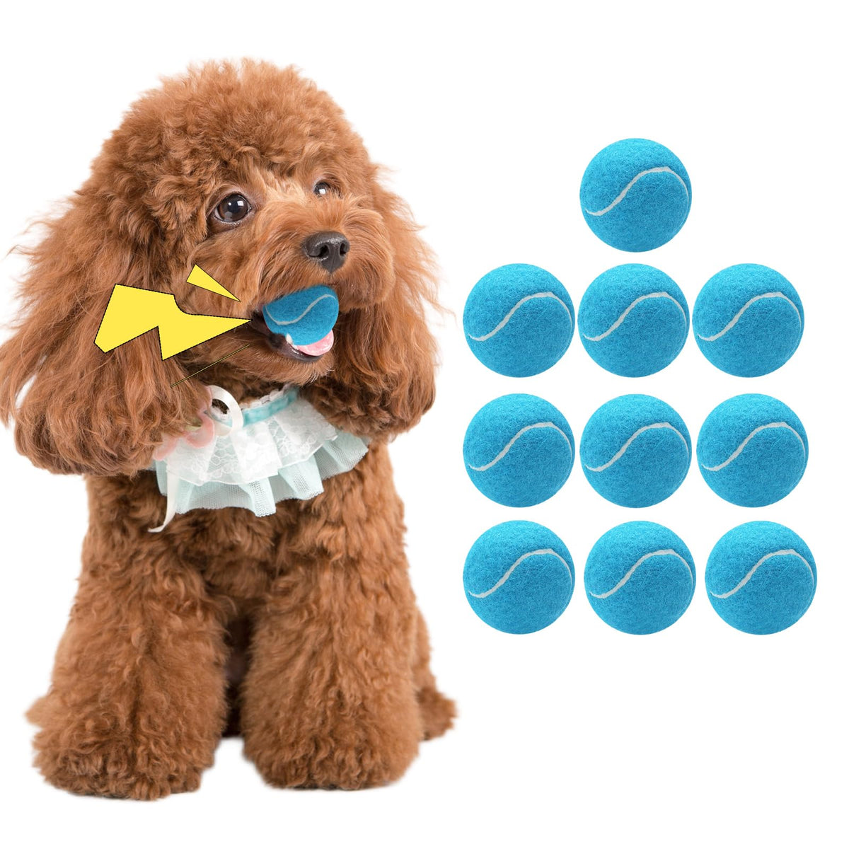 Magicorange tennis ball blue 1.5 inch 10-pack front view ideal for backyard fetch