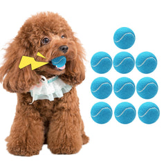 Magicorange tennis ball blue 1.5 inch 10-pack front view ideal for backyard fetch