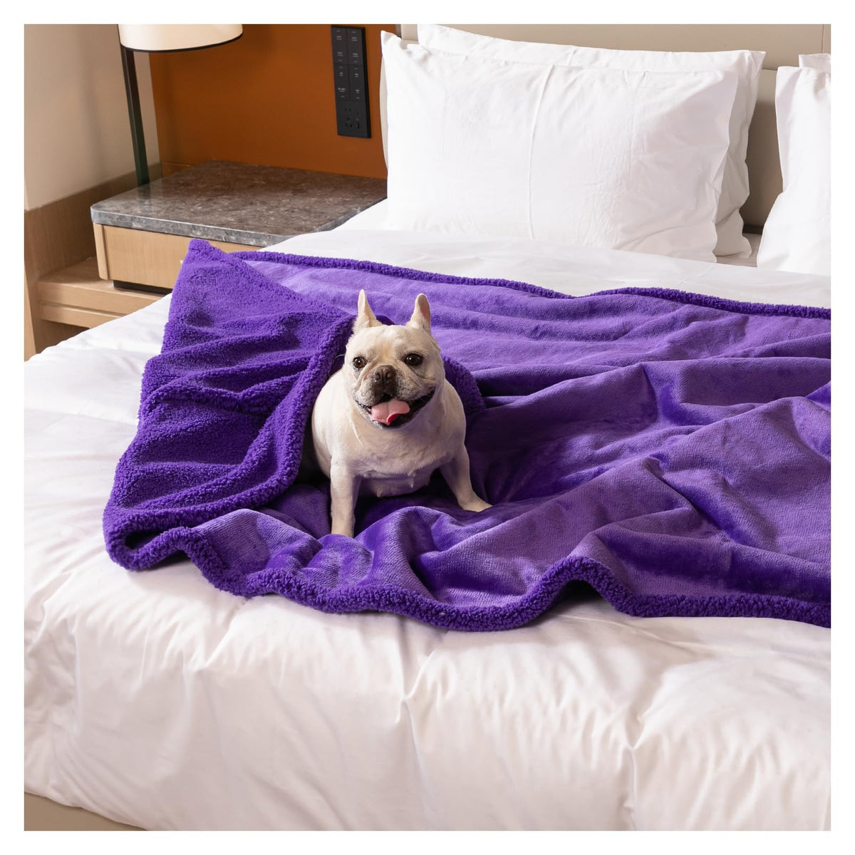 Maidewow Purple king-size bed cover shows waterproof Sherpa fleece protecting beds and couches.