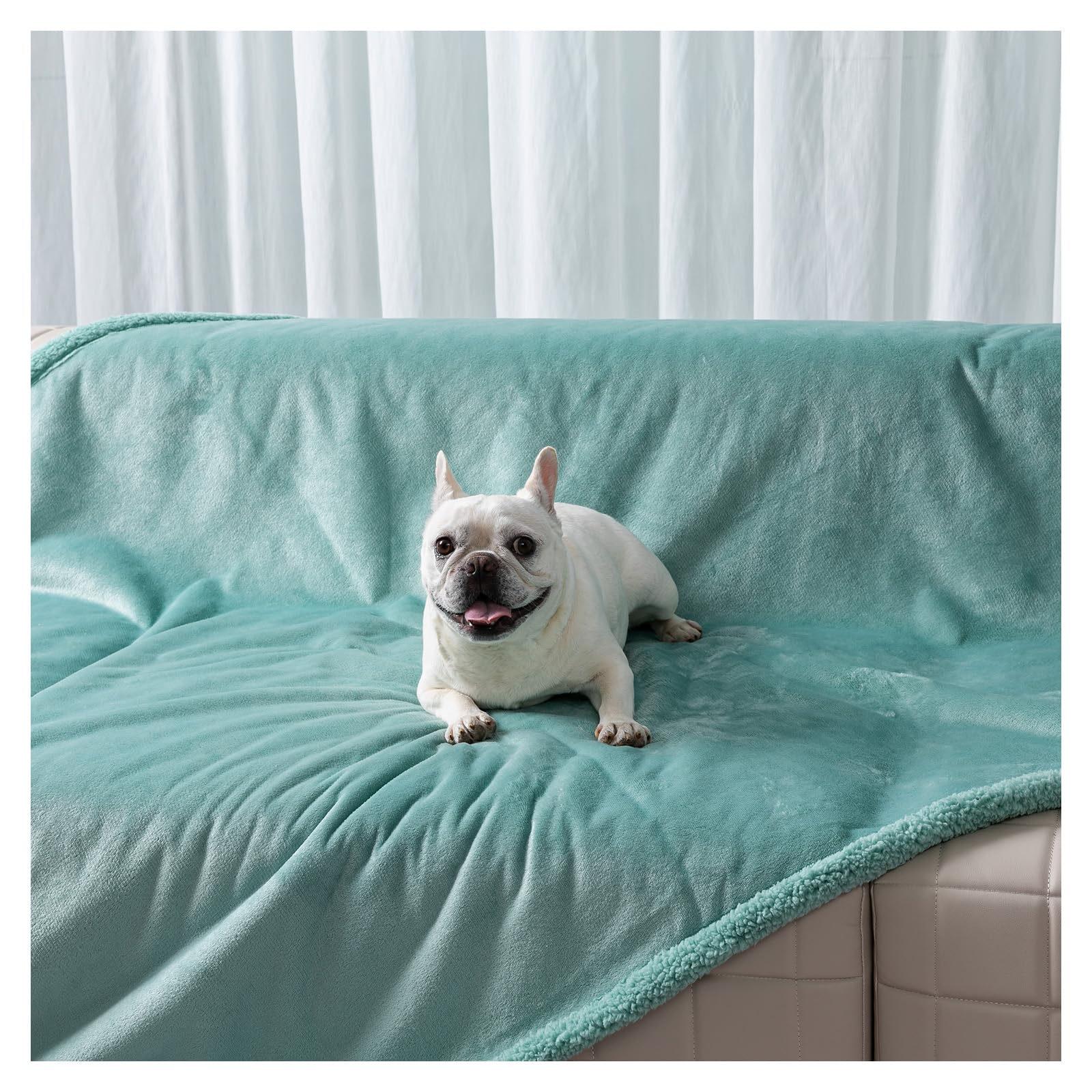 Maidewow travel-friendly green pet blanket being used for travel and easy care.