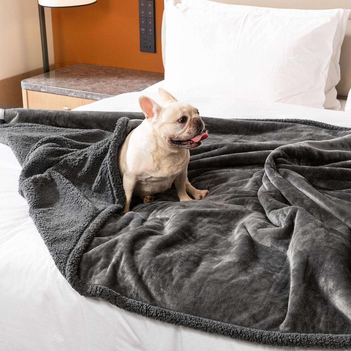 Maidewow Waterproof Dog Blanket reversible coverage on sofa protects furniture from spills.
