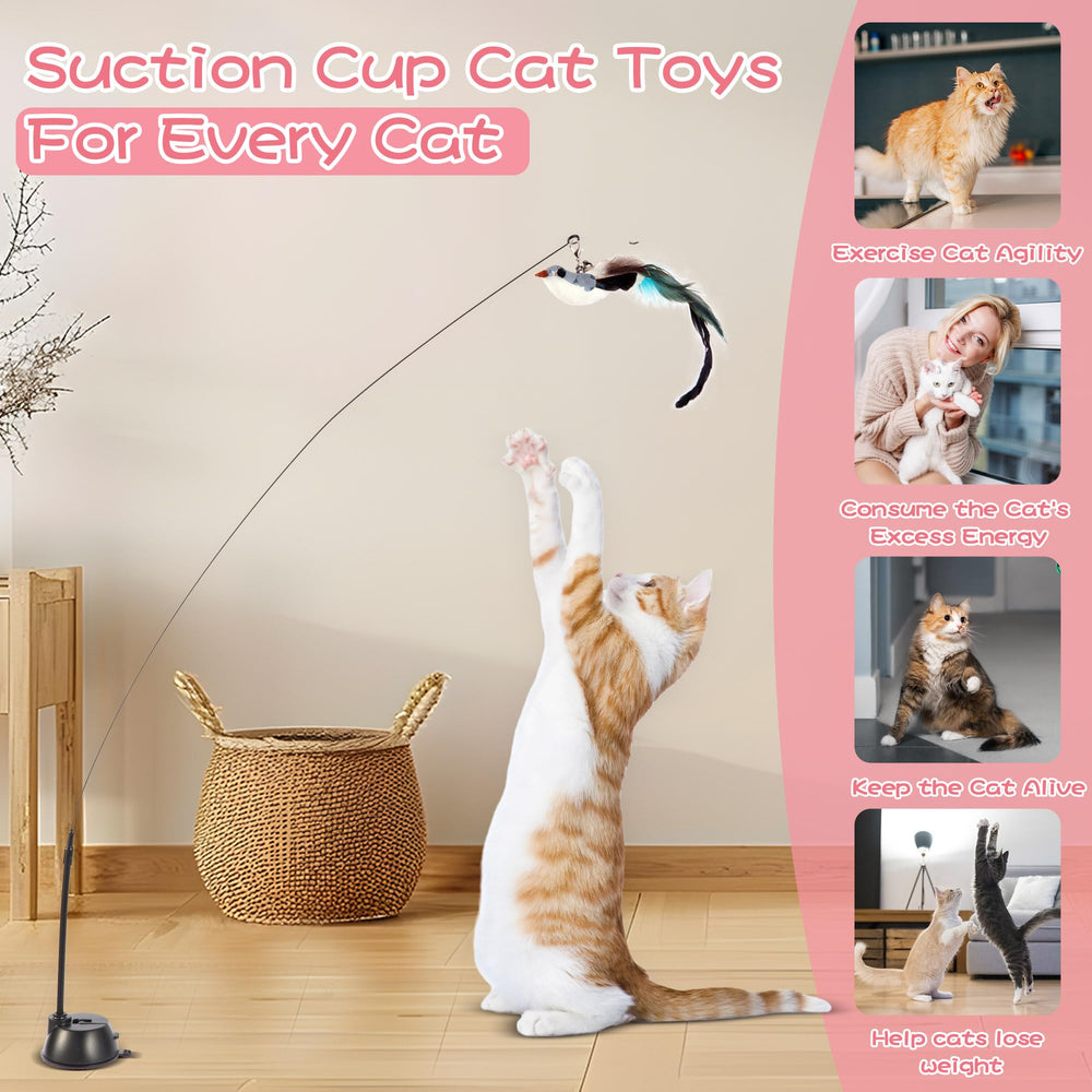 Maiguangta cat wand toy colorful birds spark chase and activity.