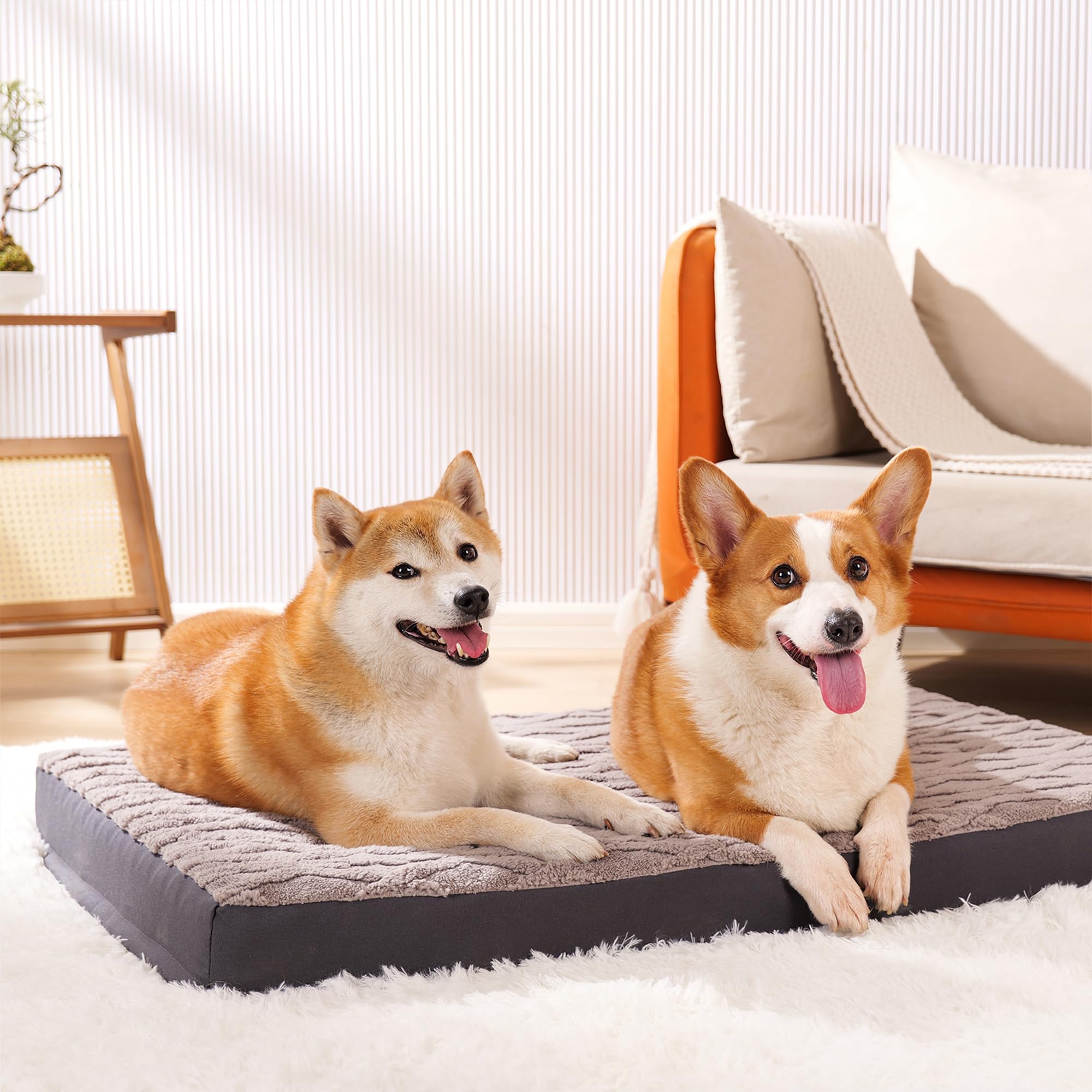 Maihandasi grey plush bed in room highlights stylish, durable velvet.