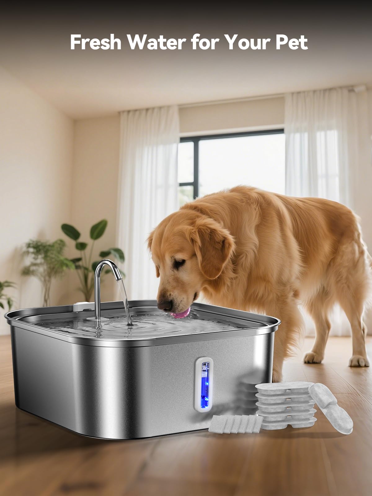 MAILOFY Large Dog Water Fountain stainless-steel design endures daily use and resists odors.