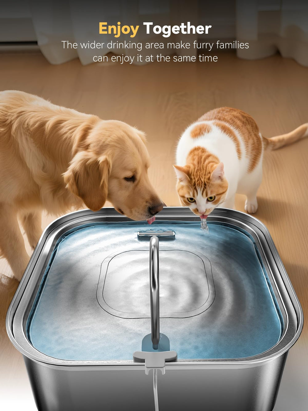 MAILOFY stainless steel body provides durable, safe hydration for pets.