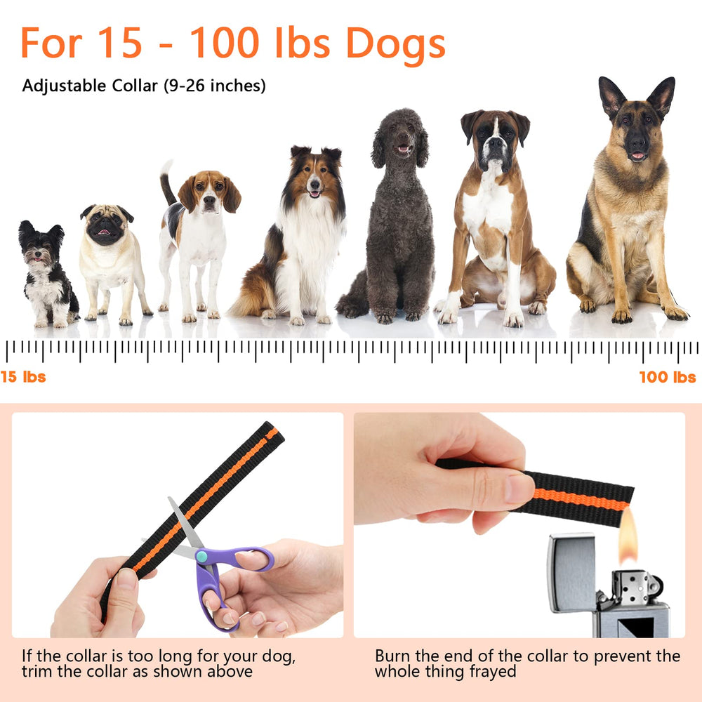 MAISOIE dog training collar lanyard for easy on-the-go control.