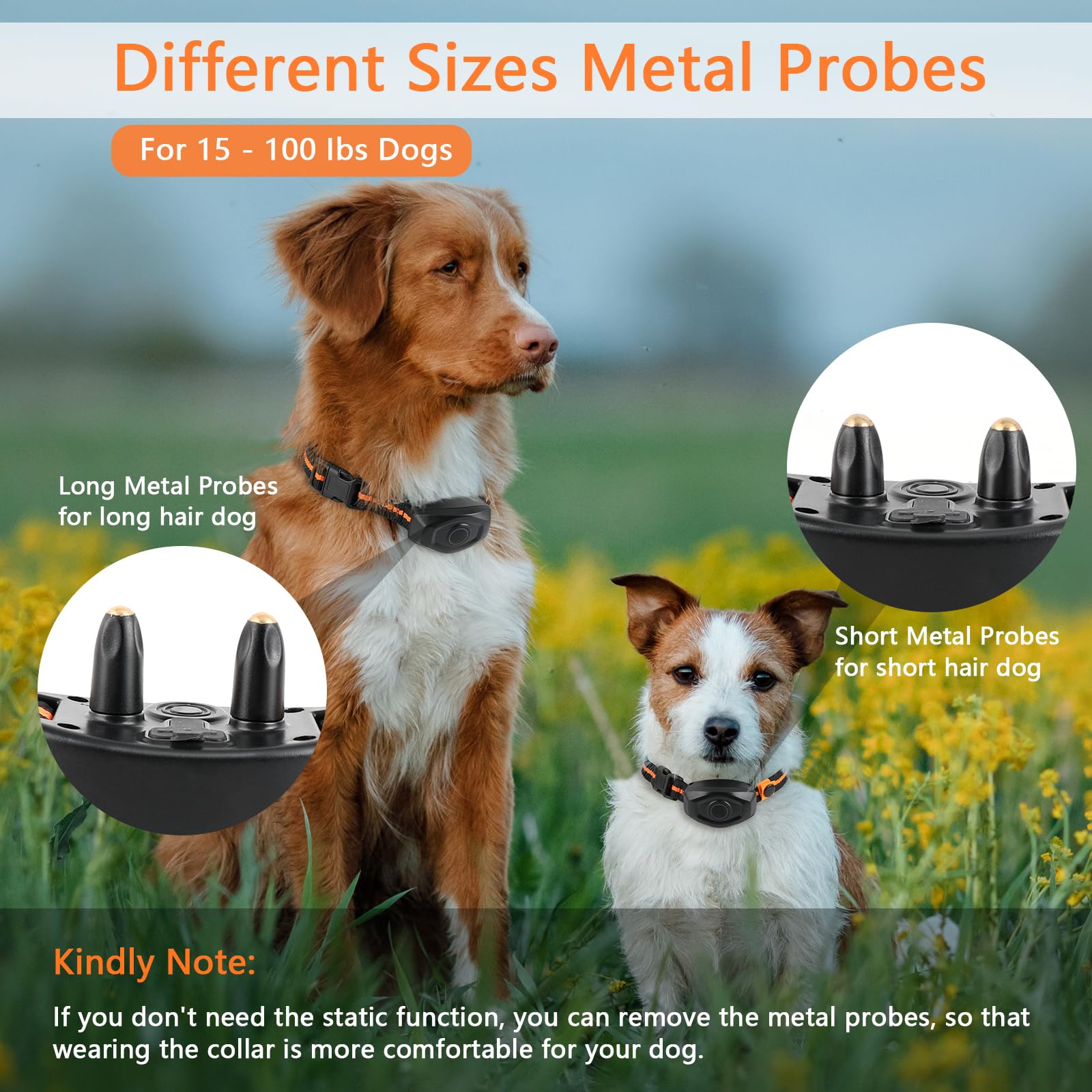 MAISOIE dog collar showing removable metal probes for hair length adjustments.