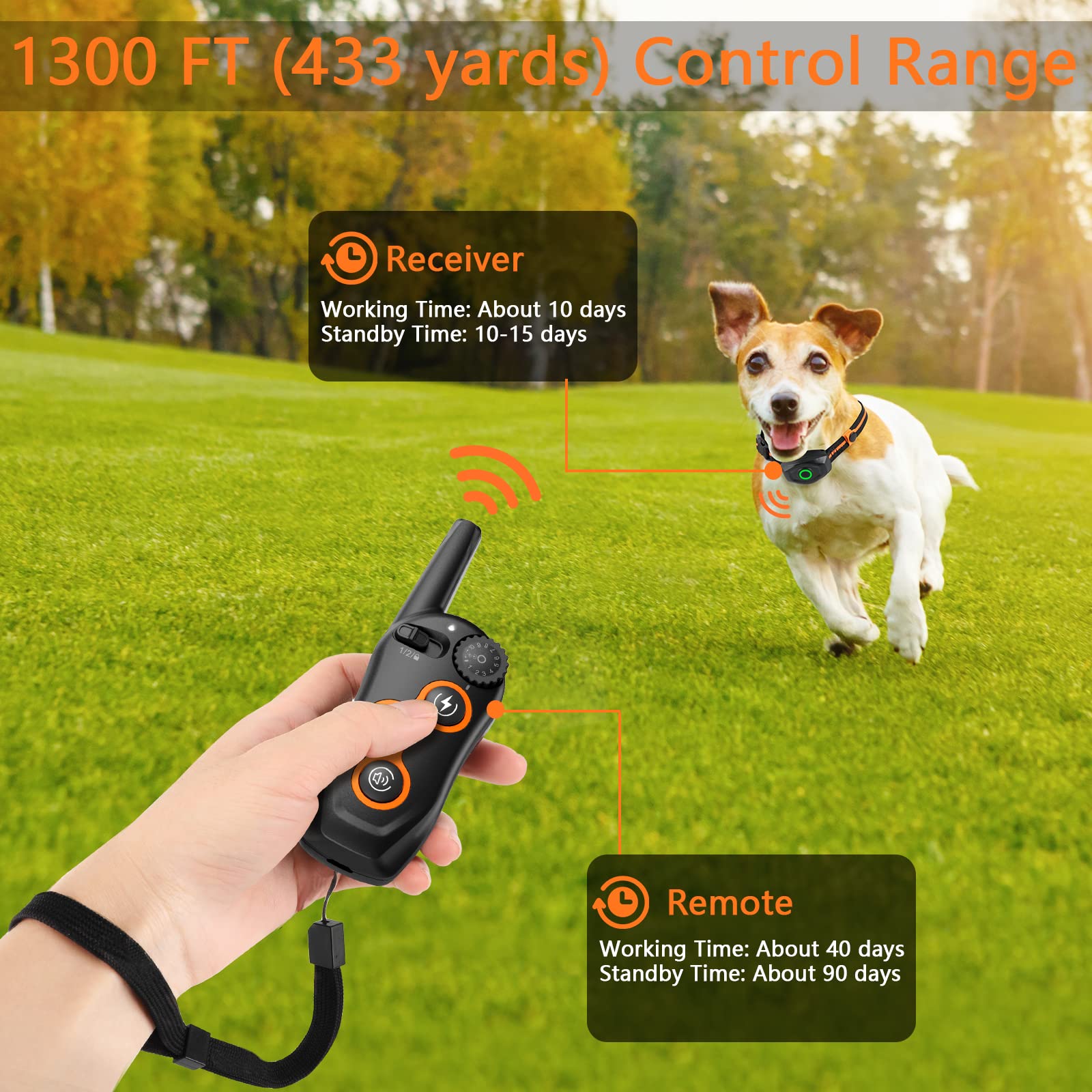 MAISOIE remote safety lock buttons prevent misoperation during training sessions.