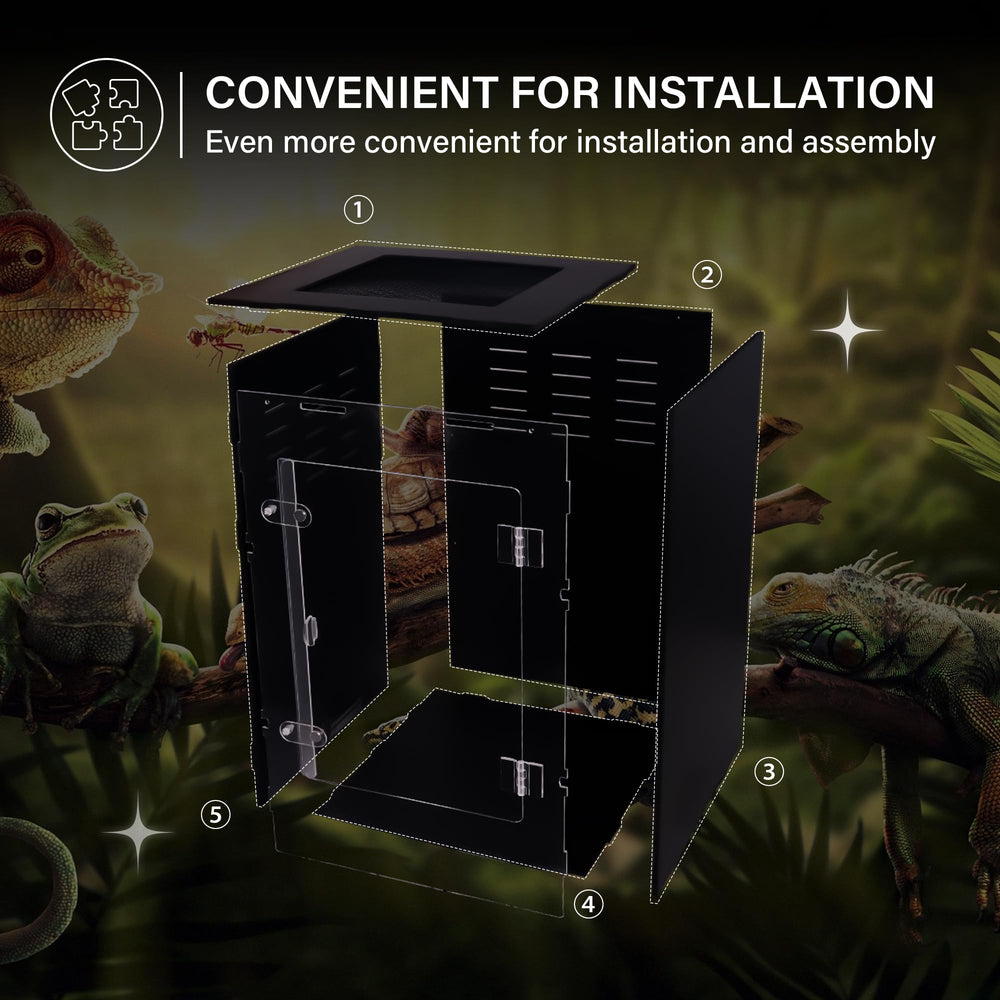Maiyuolg reptile enclosure multi-species habitat supports geckos, snakes, and tiny invertebrates.