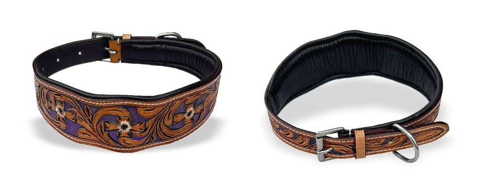 Majestic Ally leather dog collar adjustable-padded—comfortable fit reduces rubbing on long hikes