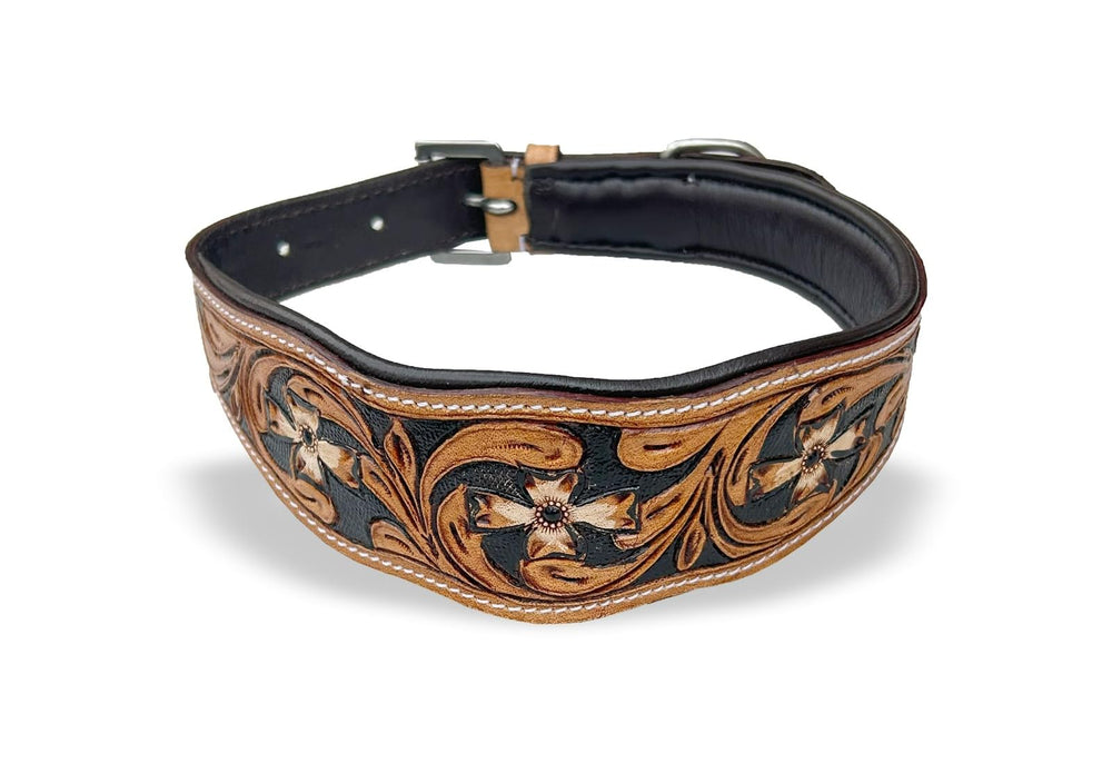 Majestic Ally leather dog collar rustic western style for adventures and park outings.