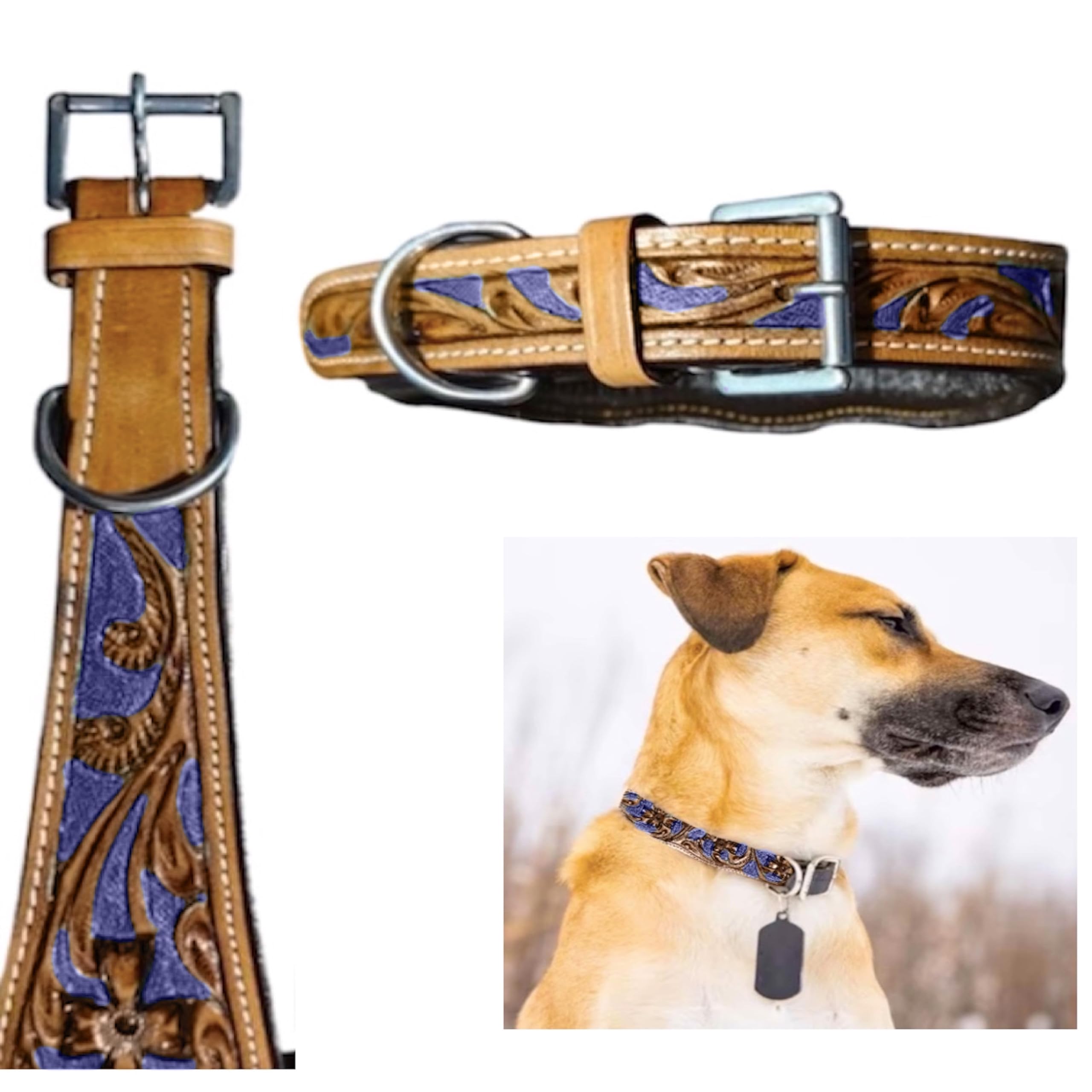 Majestic Ally leather dog collar strap—durable premium build for everyday walks