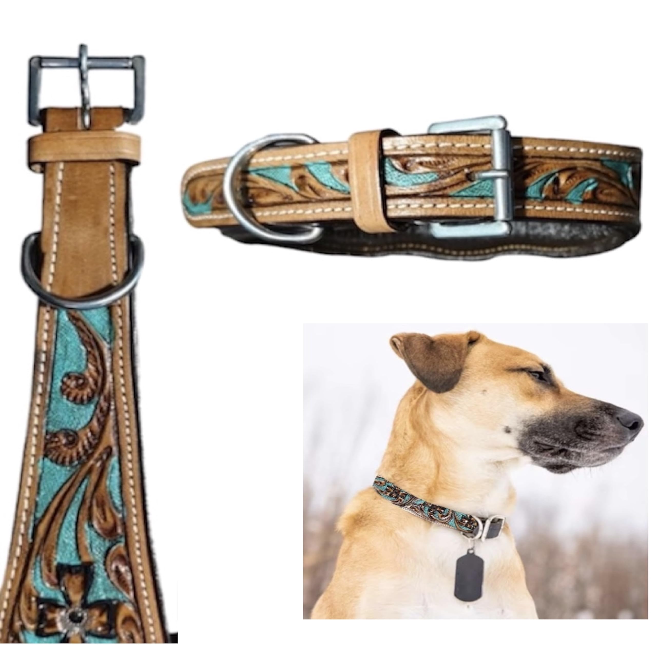 Majestic Ally leather dog collar turquoise close-up shows durable, stylish walking.