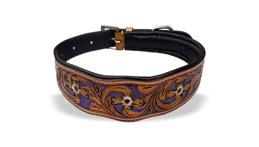 Majestic Ally leather dog collar walking-hiking—fits both male and female dogs for outdoor treks
